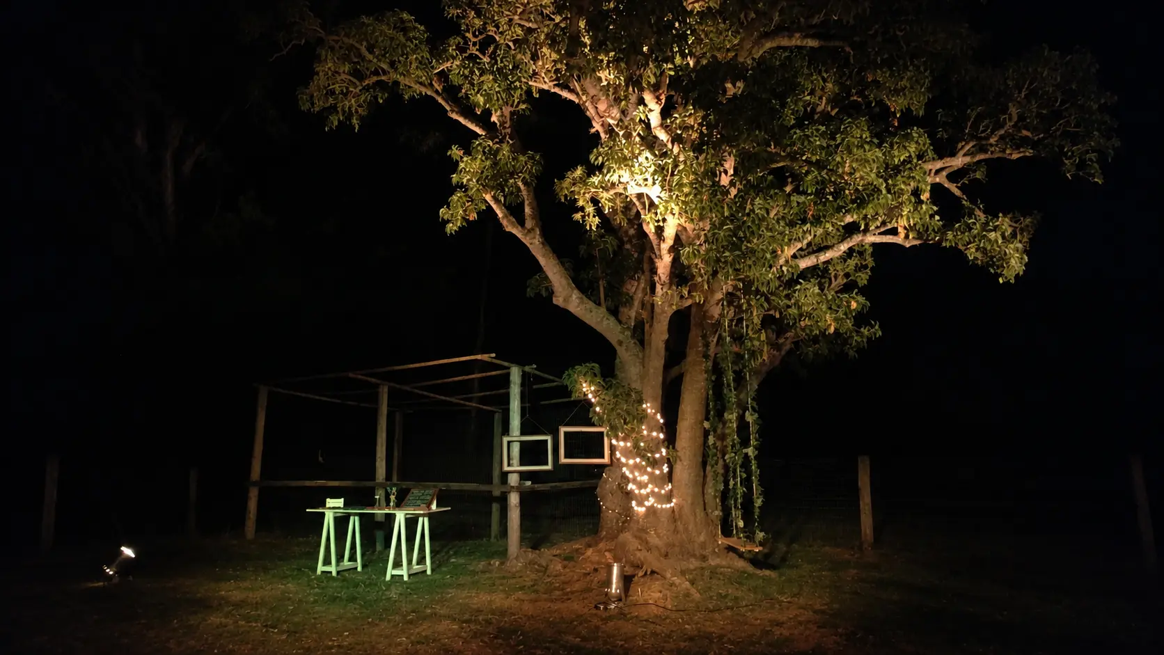 Árbol iluminado con marcos colgados junto al salón, de noche