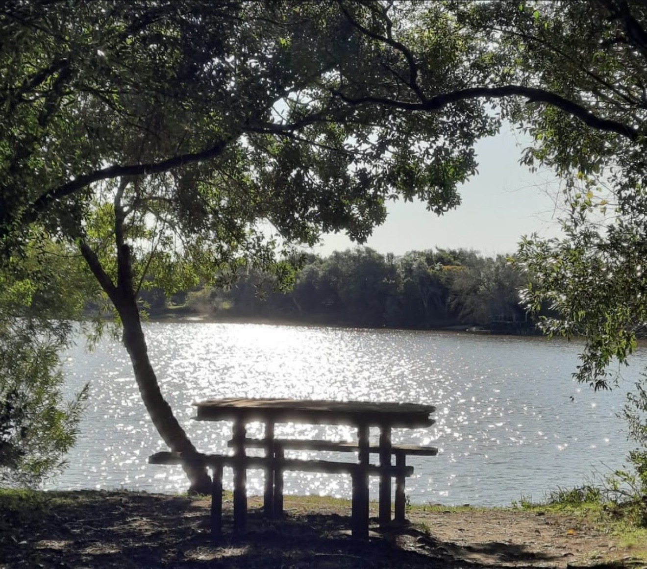 Mesa junto al río