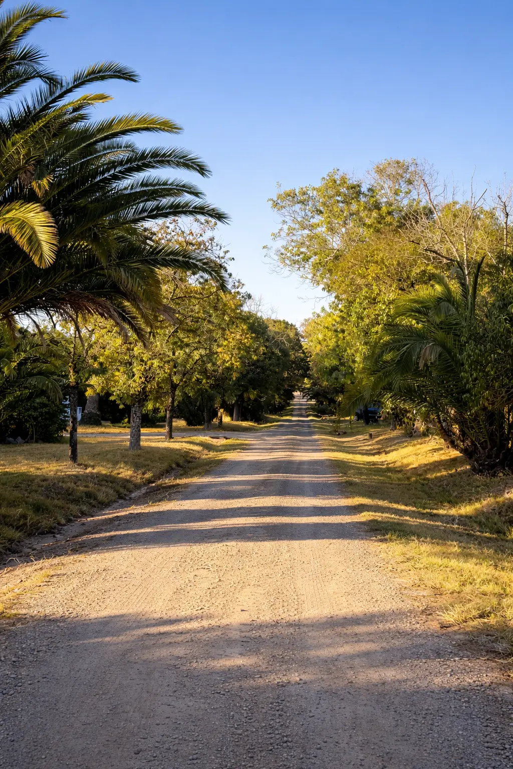 Camino de entrada a la estancia